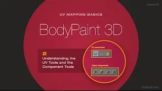 UV Mapping-Part 2-UV and Object Components
