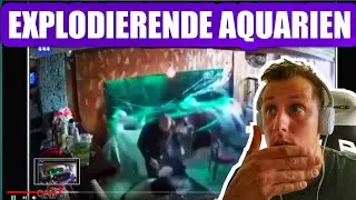 Sascha REAGIERT auf | Aquarium FAILS