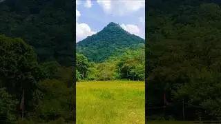 भारत में माँ शारदा का मैहर देवी मंदिर | maihar devi temple #maihardevi #maihar #maihartemple #shorts