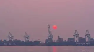 Tsawwassen Roberts Bank Superport Forest Fire Smoke Sunset