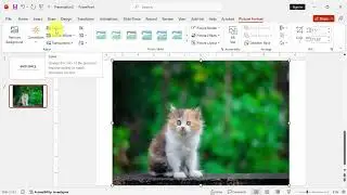 How to make a picture black and white in PowerPoint mac