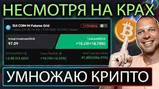 +19% прибыли за 2 недели с Pionex Hedge Grid Bot!
