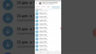 Фрейя Зильбер о полиции