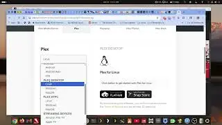 Plex: Первоначальное устранение неполадок, возникших у Синдисью с приложением Plex Player.