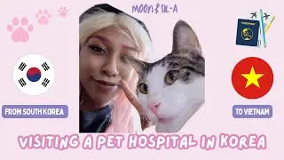 Travel Vlog Day 1: Visiting a Pet Hospital in Korea | From Korea to Vietnam with My Cat Moon & Sil-A
