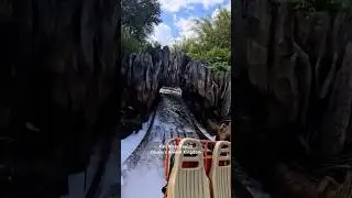 Kali River Rapids - #kali #river #rapid #disney #animal #kingdom #orlando #florida #usa #water #ride