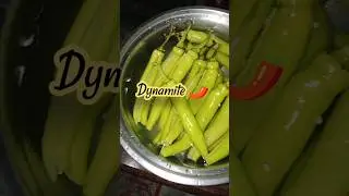 MAKING DYNAMITE AND MUKBANG UNTIL I CAN 🥵🔥 #food #mukbang #dynamite #chili #chilidynamite #spicyfood