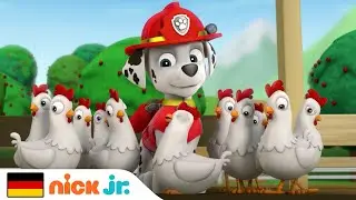 PAW Patrol | Die PAW Patrol muss Chickaletta retten | NIck Jr. Deutschland