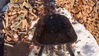 Складывание дров из сахарного клена, покрытого снегом.