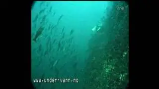 under-vann (under-water)