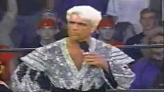 Randy Savage & Madusa vs. Ric Flair & Charles Robinson  1/2