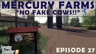 NO FAKE COWS!! | MERCURY FARMS | Farming Simulator 19 | Lets Play Episode 27