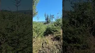 #cougar #oregonhunting #pnw #deer #elk #cat