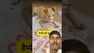 हैप्पी दही चूड़ा #funny #comedy #thetharpuns #shilpisaroja