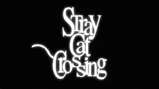 Stray Cat Crossing (No Commentary)