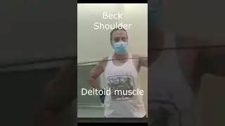 Above 70: Back Shoulder Deltoid Muscle Exercise in gym?  #helalmedical