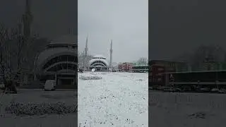 Snow, 2024 