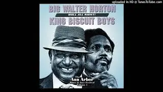 King Biscuit Boys    -   Little Car Blues   -  Joe Willie Wilkins