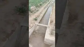 Irrigation System On Field | Water Course | Duty at field | Civil Engineering| IrrigationEngineering