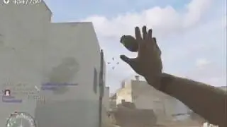 Snipers N Shotguns