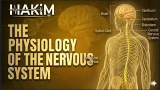 Physiology of Nervous Tissue