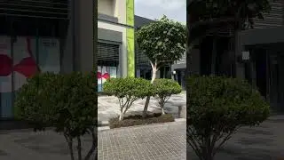 #viral#uae#dubai#brujkhalifa#walkthrough#cometodubai#habibicometodubai#trending#trendingshort#shorts