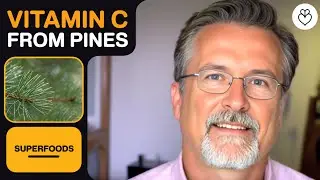 The Secret Power of Pine Trees Revealed!