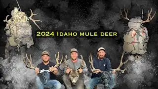 3 Bucks Down!!! | 2024 Idaho Mule Deer Hunt | Rifle | Public Land