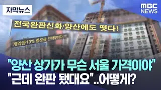 [자막뉴스] 