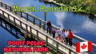 Marsh boardwalk #PointPelee#travel