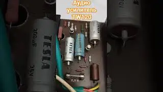 TW120 - Усилитель #top #gold #золото