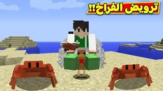 ماين كرافت : رمضان كرافت ترويض الفراخ | minecraft !! 🐣😍