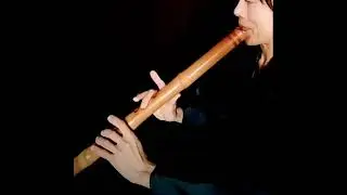 龍吟虚空 Ryūgin Kokū