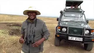The most breathtaking Birdwatching & Wildlife Safari holiday in Kenya
