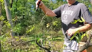 Stihl Folding Hand Saw
