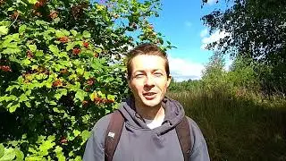 Активация ДНК, эпифиза