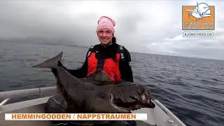 Hemmingodden Nappstraumen