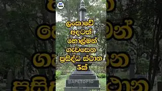 ලංකාවේ හොල්මන් ගැවසෙන ස්ථාන😱😨 #top10 #horror #gost #apetop10 #holman