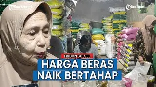 Harga Beras Tembus Rp 400 Ribu per 25 Kg di Makassar
