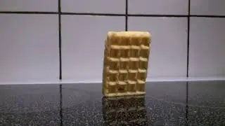 waffle falling over [just a little edit]