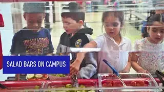 Salad Bars | Feb. 2024