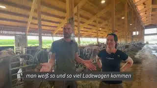 Völlig neuer Heumilchbetrieb: Ein Traum wurde Wirklichkeit