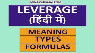 LEVERAGE (In Hindi) || Meaning of Leverage || Types of Leverage || Formulas of Leverage || FM