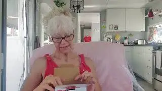 debrajoy. 5/17 Бытовая техника Dash! Красивый чехол для телефона и т.д. и т.п.! Van Hints! #Мини-бытовая техника Dash