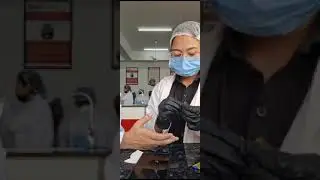 Bleeding Time Test: A Medical Lab Technology Students' Practical Exam Guide