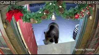 🎄 CCTV | Bear Scared by Christmas Decorations! | Caught on Camera 🐻