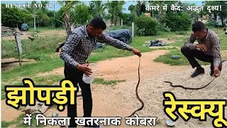 झोपड़ी में निकला खतरनाक कोबरा | Snake Rescue | Forest P B Ahir