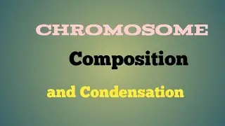 Composition and condensation chromosomes#science #biology #zoology #genetics #education #chromosome