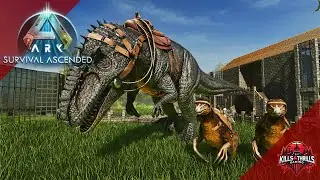 Breeding An Army For The Boss fight: ARK Survival Ascended | The Island |