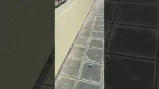 #waterproof Cement tile work on building rooftop